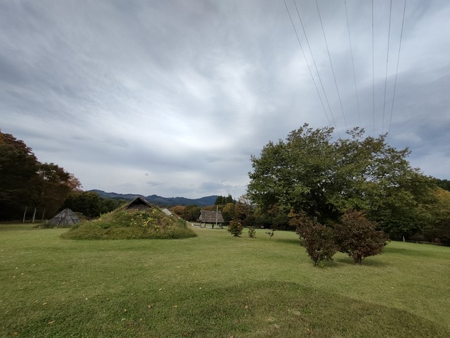 IMG20231020110524