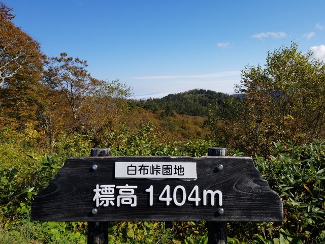 IMG_20211010_092557