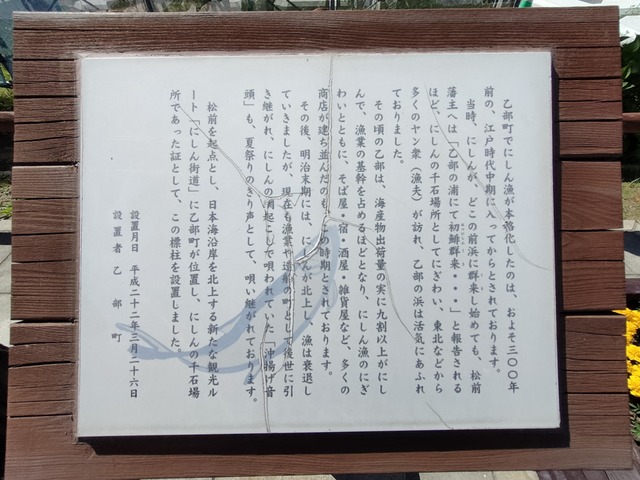 IMG20230619145204