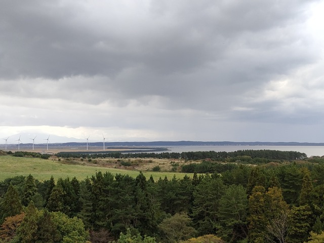 IMG20221018084701