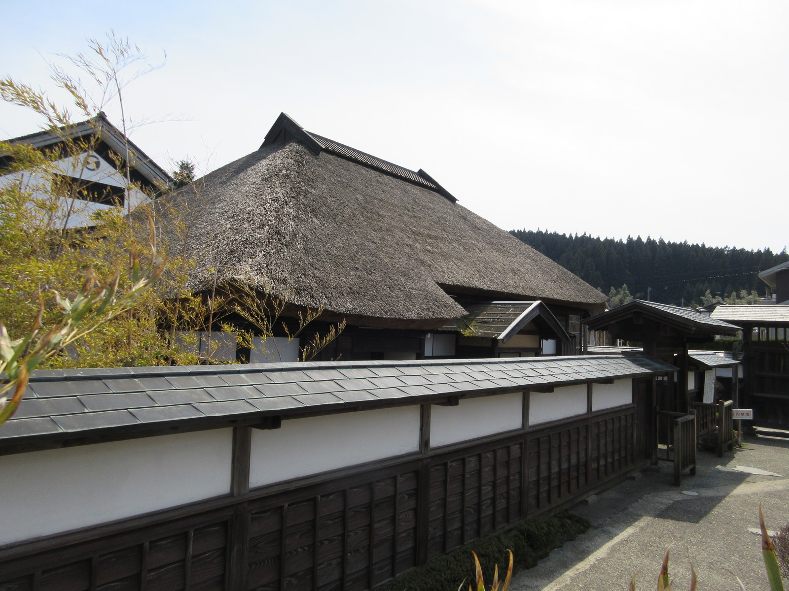 春の旅31最終回 真田幸村の娘が側室だった亀田藩の城がある天鷺村歴史テーマパーク 函館発 ぼうけんの旅 春の旅31最終回 真田幸村の娘が側室だった亀田藩の城がある天鷺村歴史テーマパーク 函館発 ぼうけんの旅