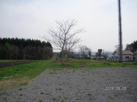 RIMG3616