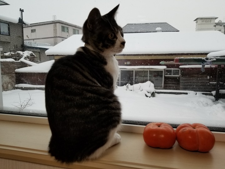 20181212_074142