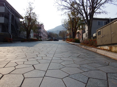 DSCF7533