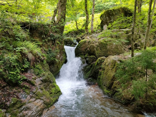 IMG20230519093418
