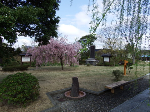 DSCF5344