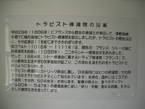 RIMG3541