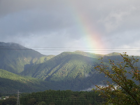 DSCF6581