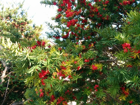 [画像:c7b7fbeb-s.jpg]