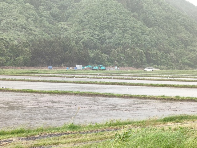 IMG20240517081146