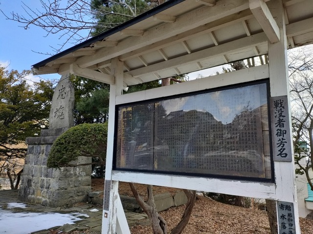 IMG20240316101014