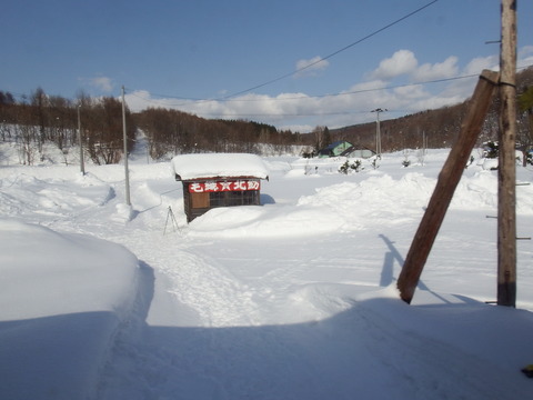 DSCF4297