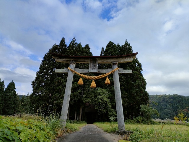 IMG20221015082342