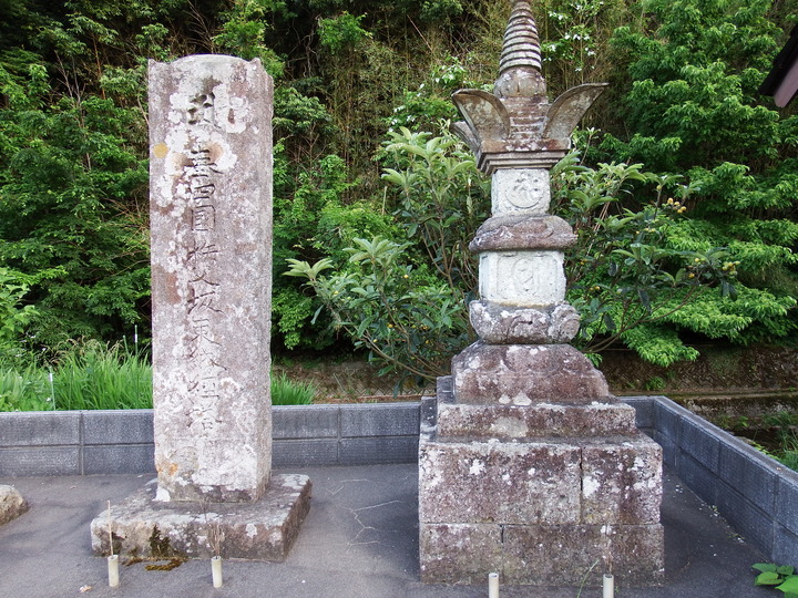 DSCF8627