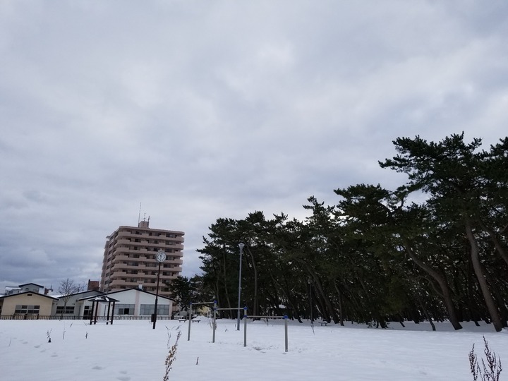 20190104_110243