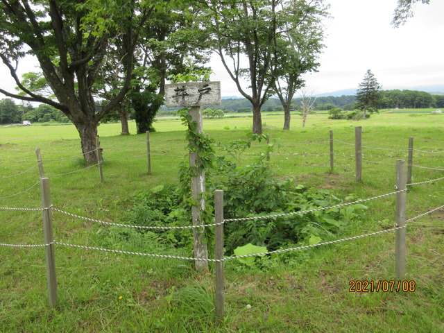 IMG_7021