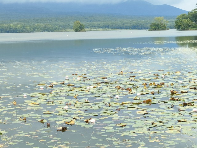 IMG20260824105920