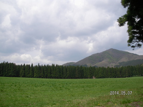 RIMG3537