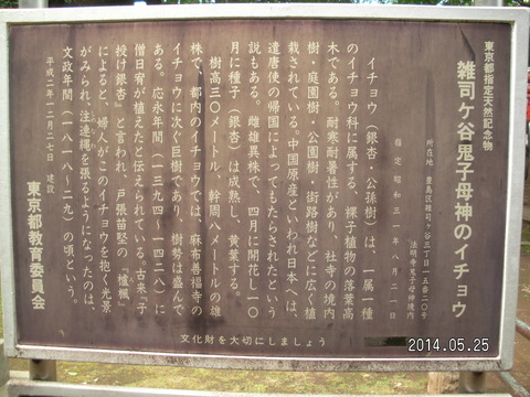 RIMG3844