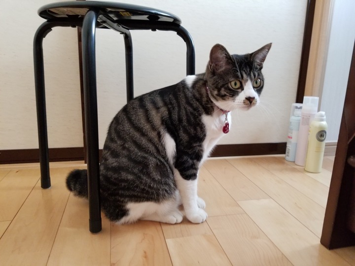20190529_102039
