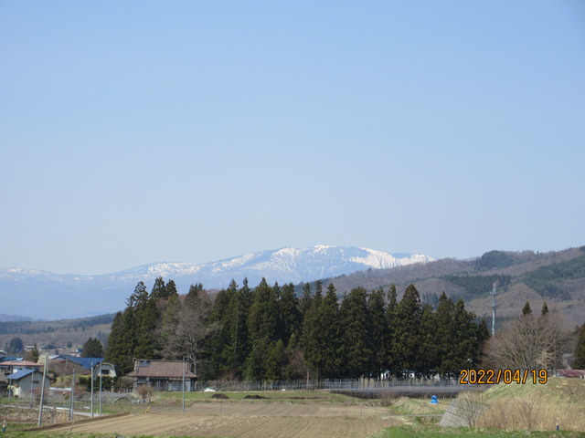 IMG_9118