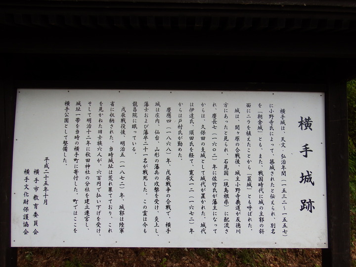 DSCF8775