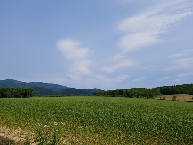 IMG_20210719_092751