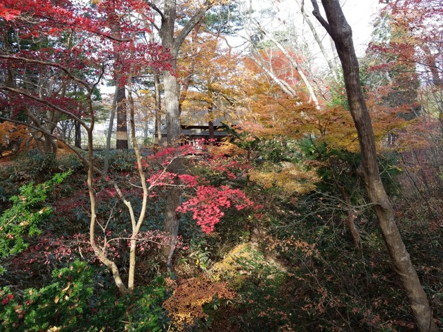IMG_20201118_100911