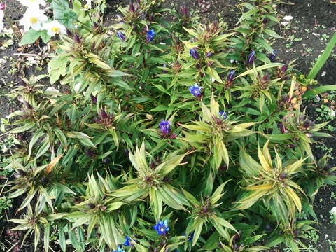 [画像:cd730e00-s.jpg]