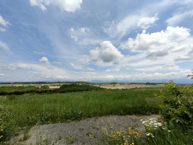 IMG20230616114031