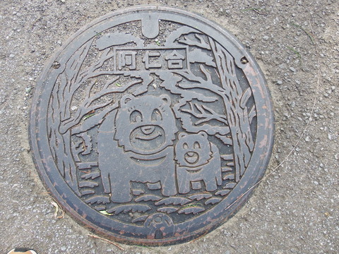 DSCF6508