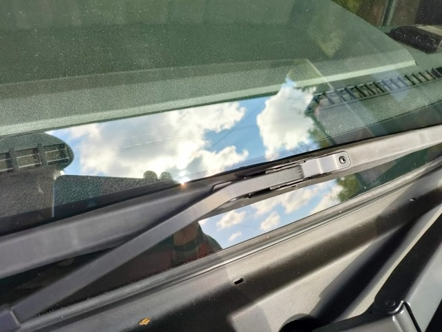 IMG20241107094844