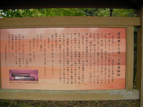 RIMG2469