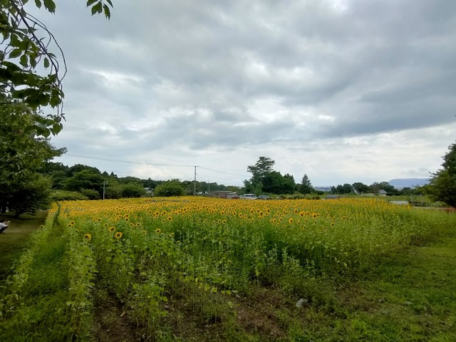 IMG20260824125951