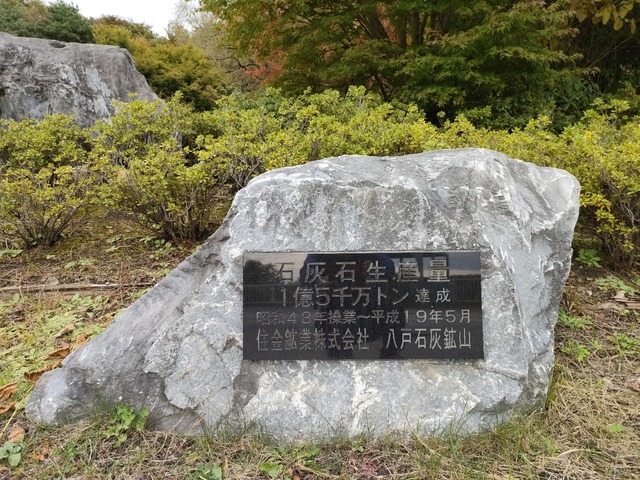 IMG20231019113802