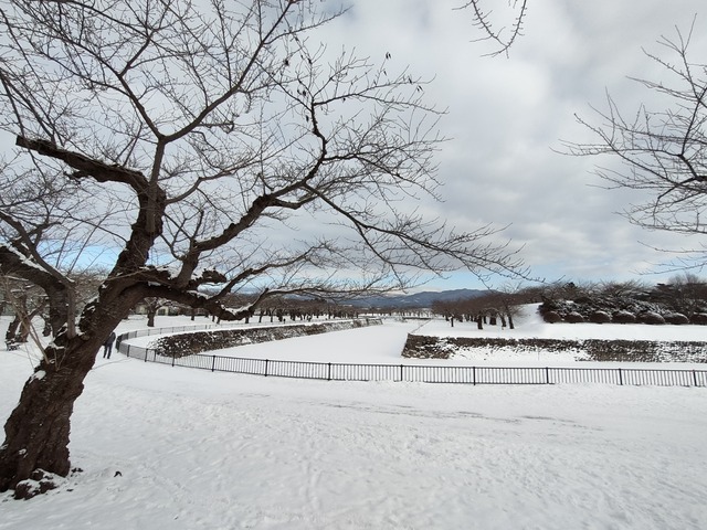 IMG20240111091749