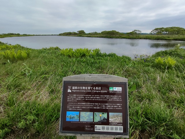 IMG20260613080617
