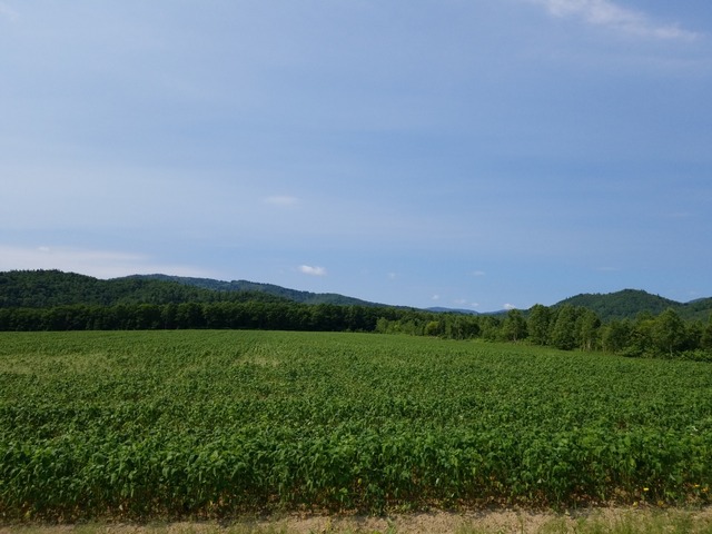 IMG_20210719_092806