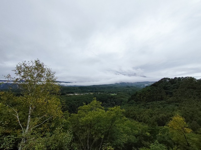 IMG20241008102701