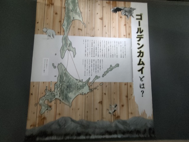 IMG20230907101335