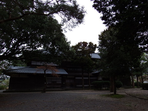 DSCF5247