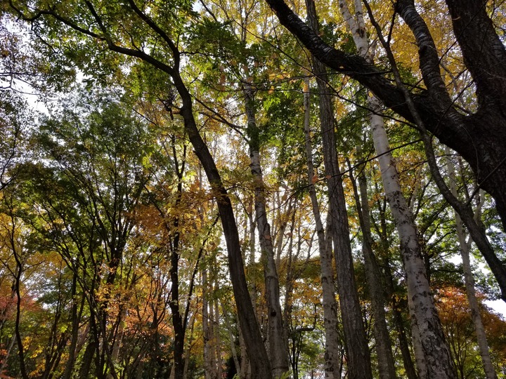 20191024_092145