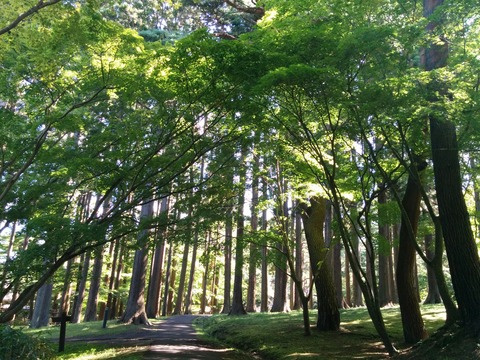 [画像:d080e79b-s.jpg]