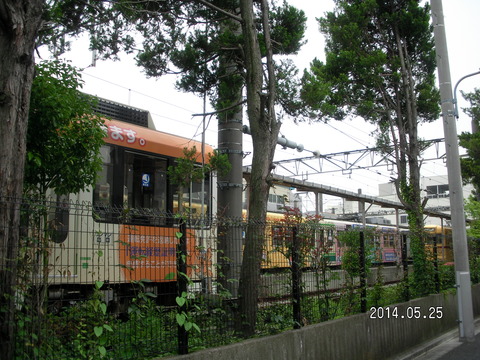 RIMG3874