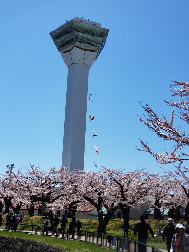 20190428_104722