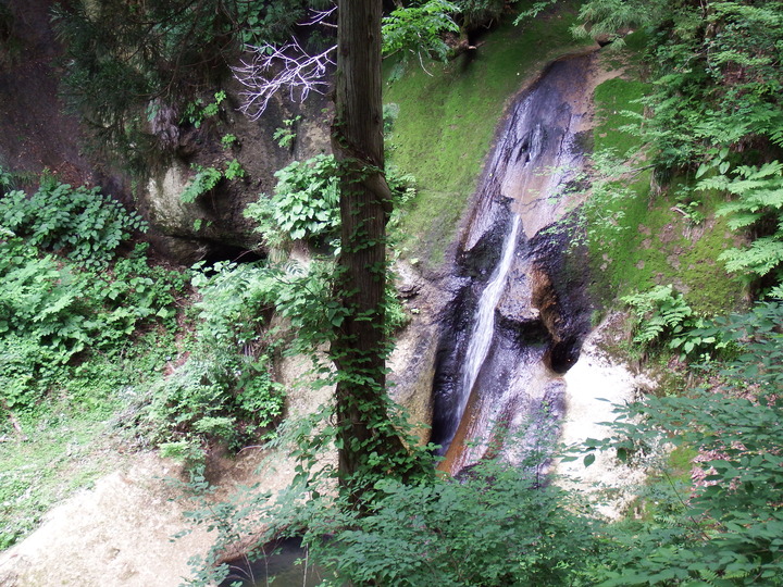 DSCF8742