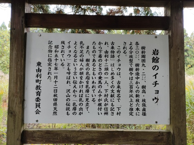 IMG20221015082445