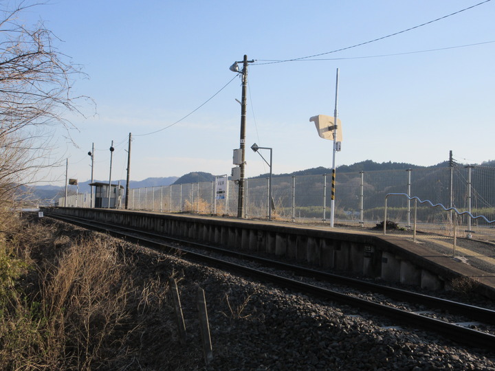 IMG_2950