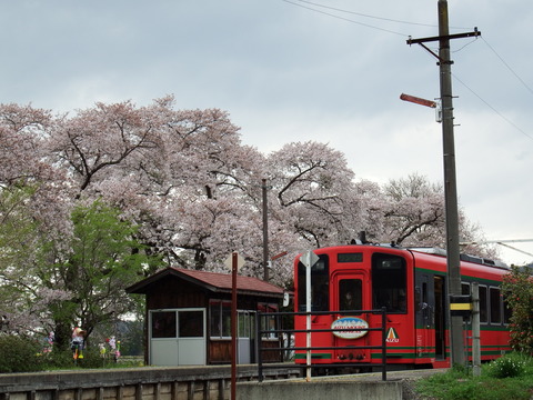 DSCF5152