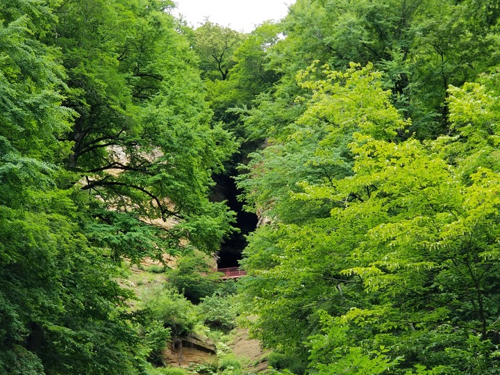 20200722_132752